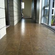 Cork Floors Wellington Cork Flooring Christchurchporirua